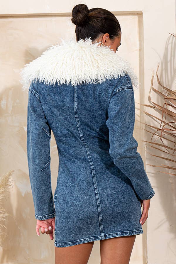 Dream Denim Mini Dress